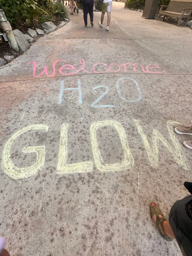 H2O Glow Nights at Disney's Typhoon Lagoon